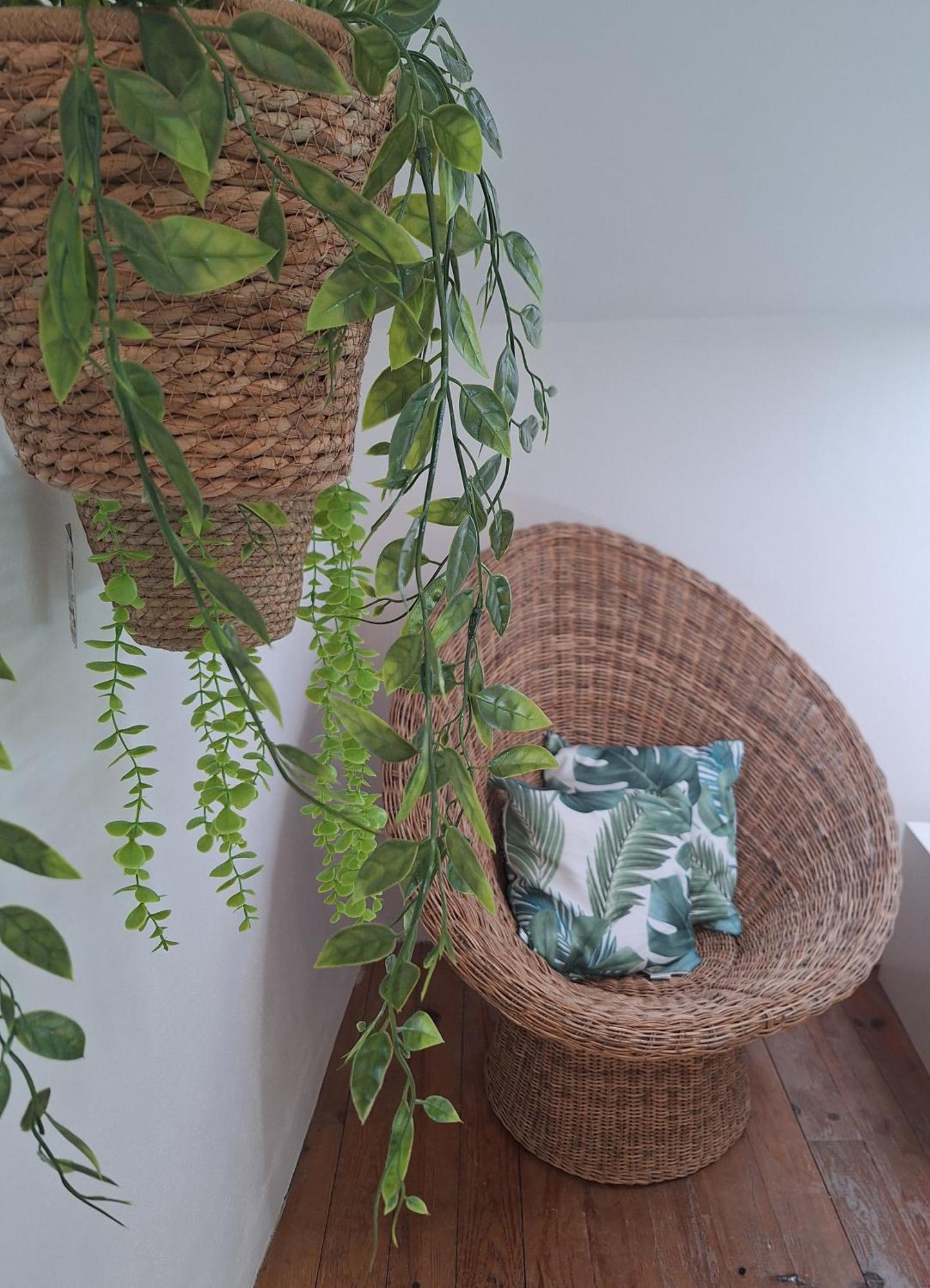 Appartement La Garriguette Centre Historique Calme Climatise 6 Couchages